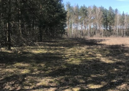 działka na sprzedaż - Skępe, Ławiczek